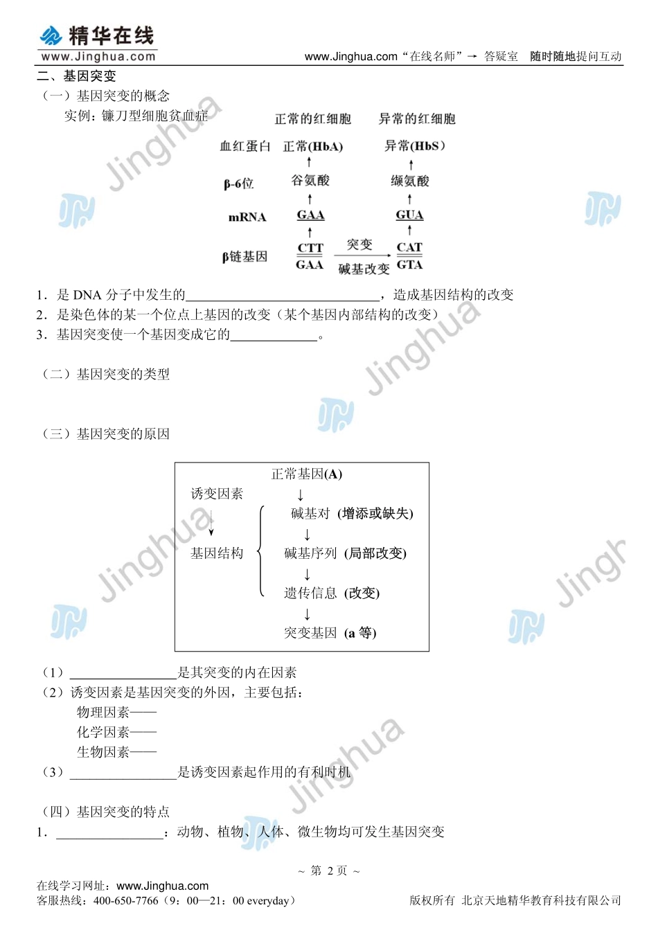 7生物的变异与育种（上）.pdf_第3页