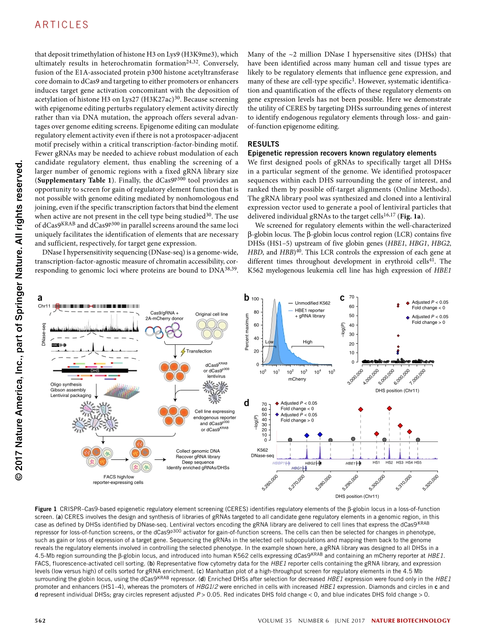 2017-Klann-CRISPR-Cas9 epigenome editing enabl.pdf_第2页
