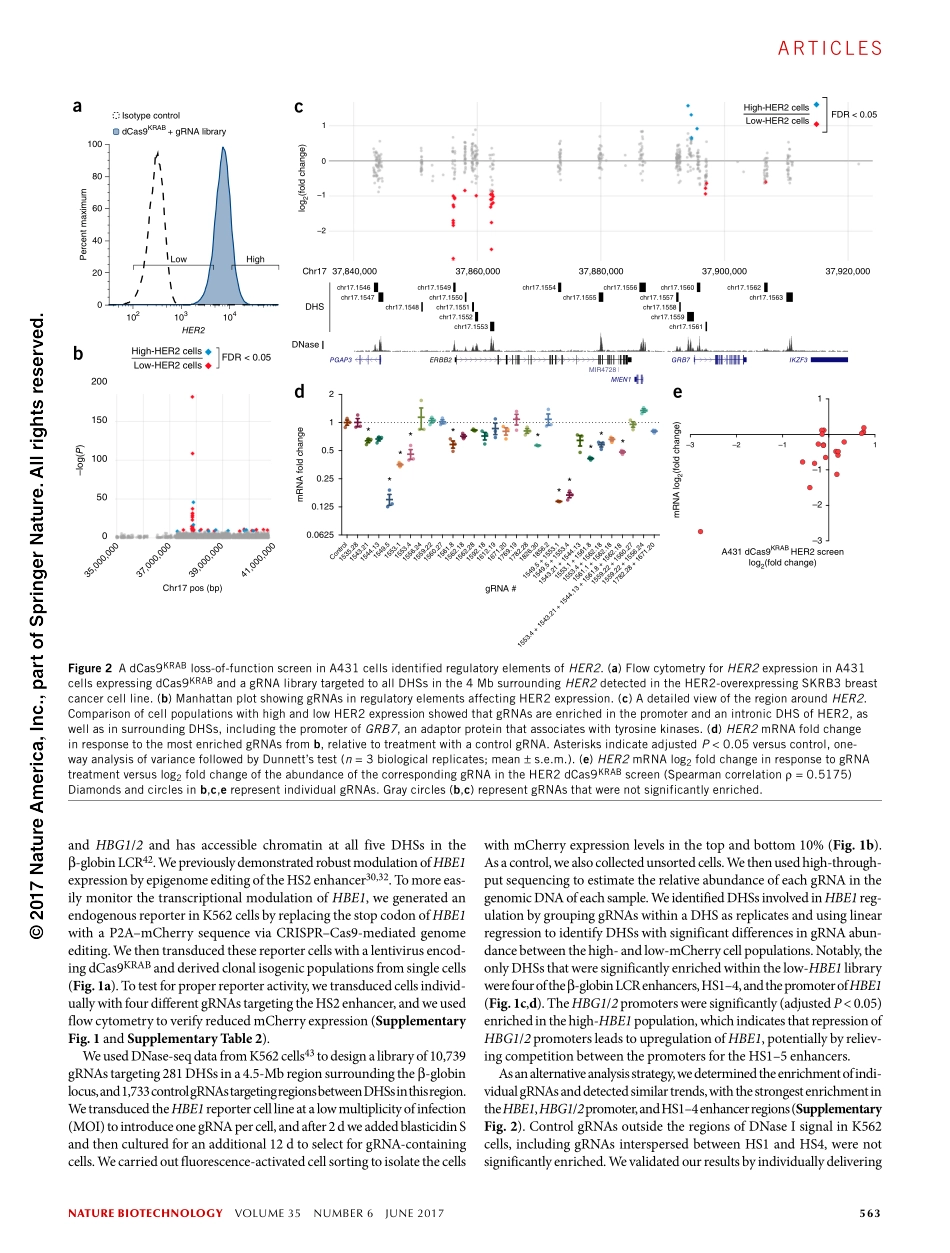 2017-Klann-CRISPR-Cas9 epigenome editing enabl.pdf_第3页