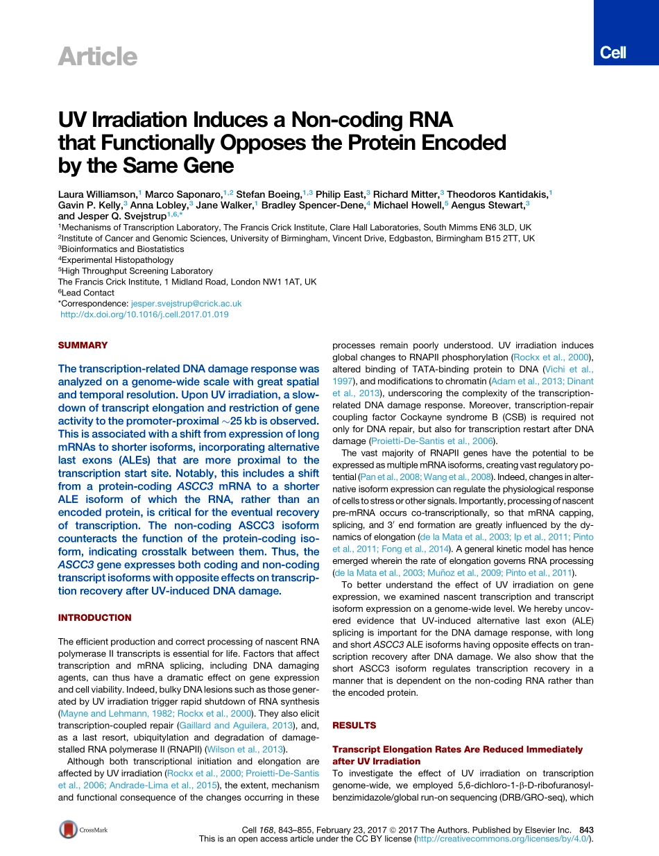 2017-Williamson-UV Irradiation Induces a Non-c.pdf_第2页