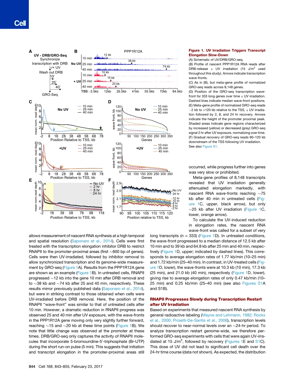 2017-Williamson-UV Irradiation Induces a Non-c.pdf_第3页