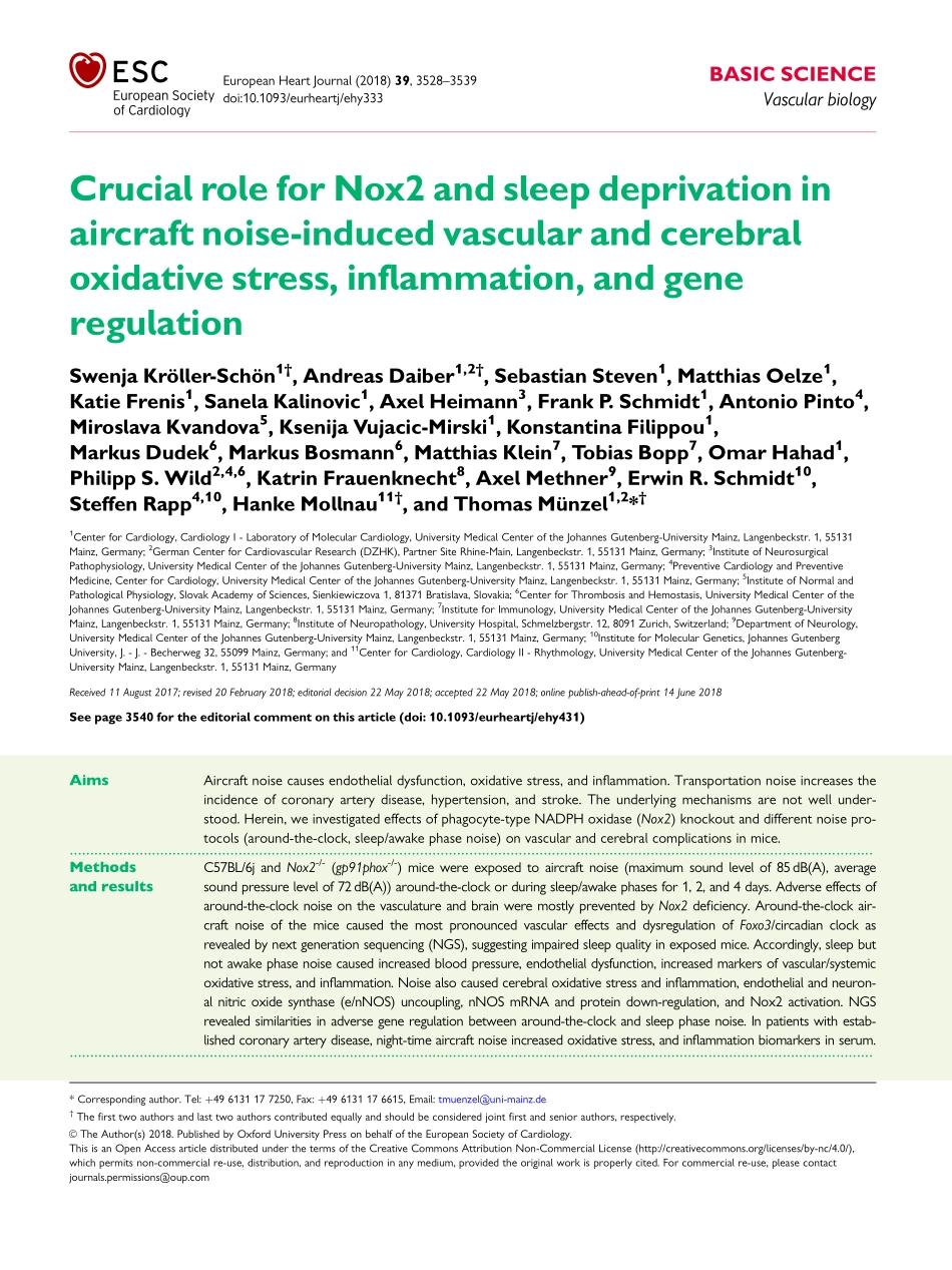 2018-Kroller-Schon-Crucial role for Nox2 and s.pdf_第1页