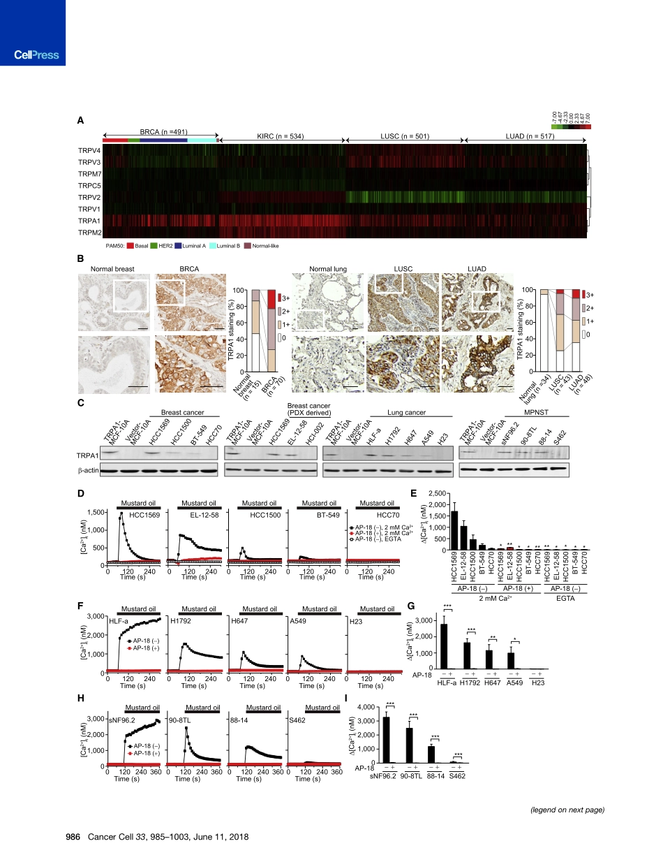 2018-Takahashi-Cancer Cells Co-opt the Neurona.pdf_第3页
