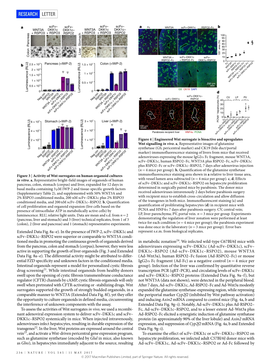 2017-Janda-Surrogate Wnt agonists that phenoco.pdf_第3页