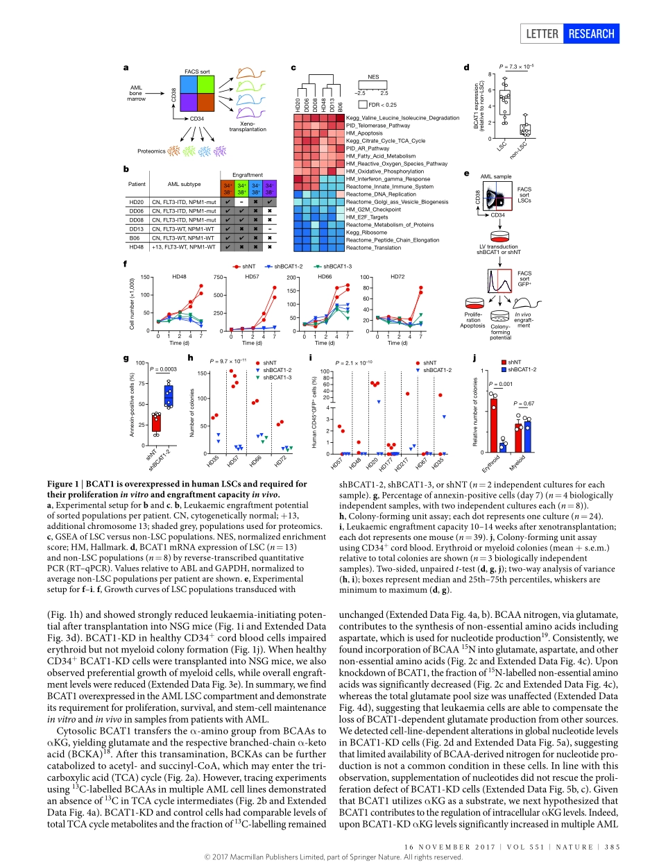 2017-Raffel-BCAT1 restricts alphaKG levels in.pdf_第2页