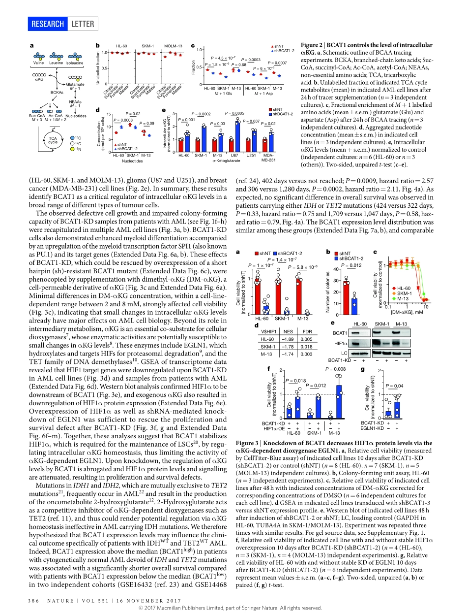 2017-Raffel-BCAT1 restricts alphaKG levels in.pdf_第3页