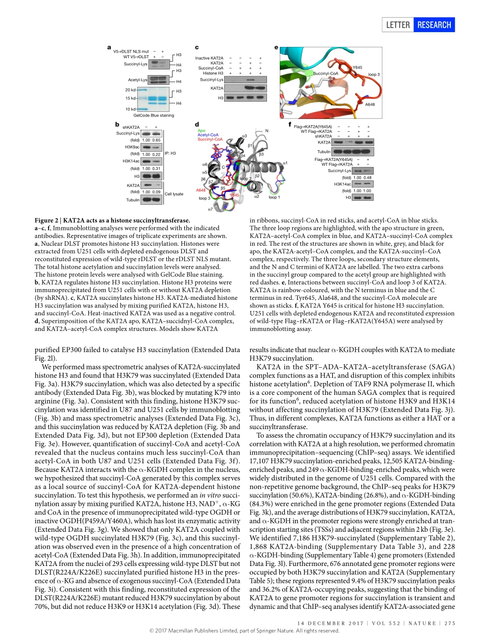 2017-Wang-KAT2A coupled with the alpha-KGDH co.pdf_第3页