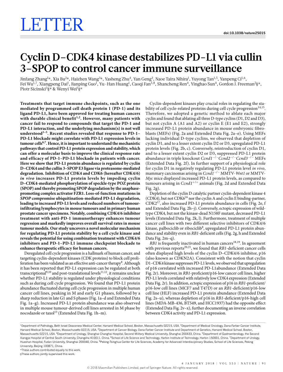 2018-Zhang-Cyclin D-CDK4 kinase destabilizes P.pdf_第1页