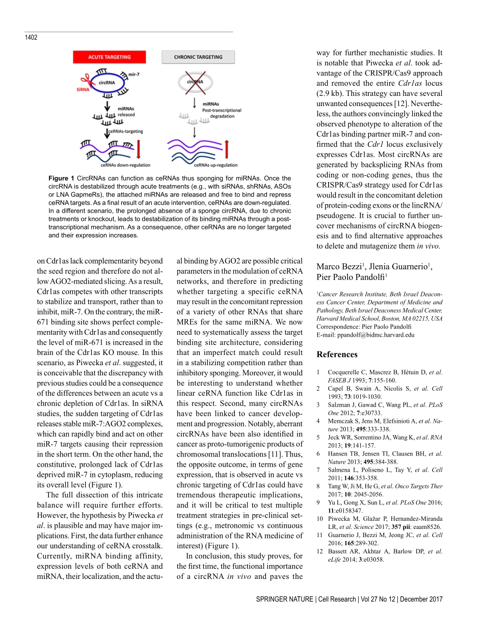 ceRNA机制-A circular twist on microRNA regula.pdf_第2页