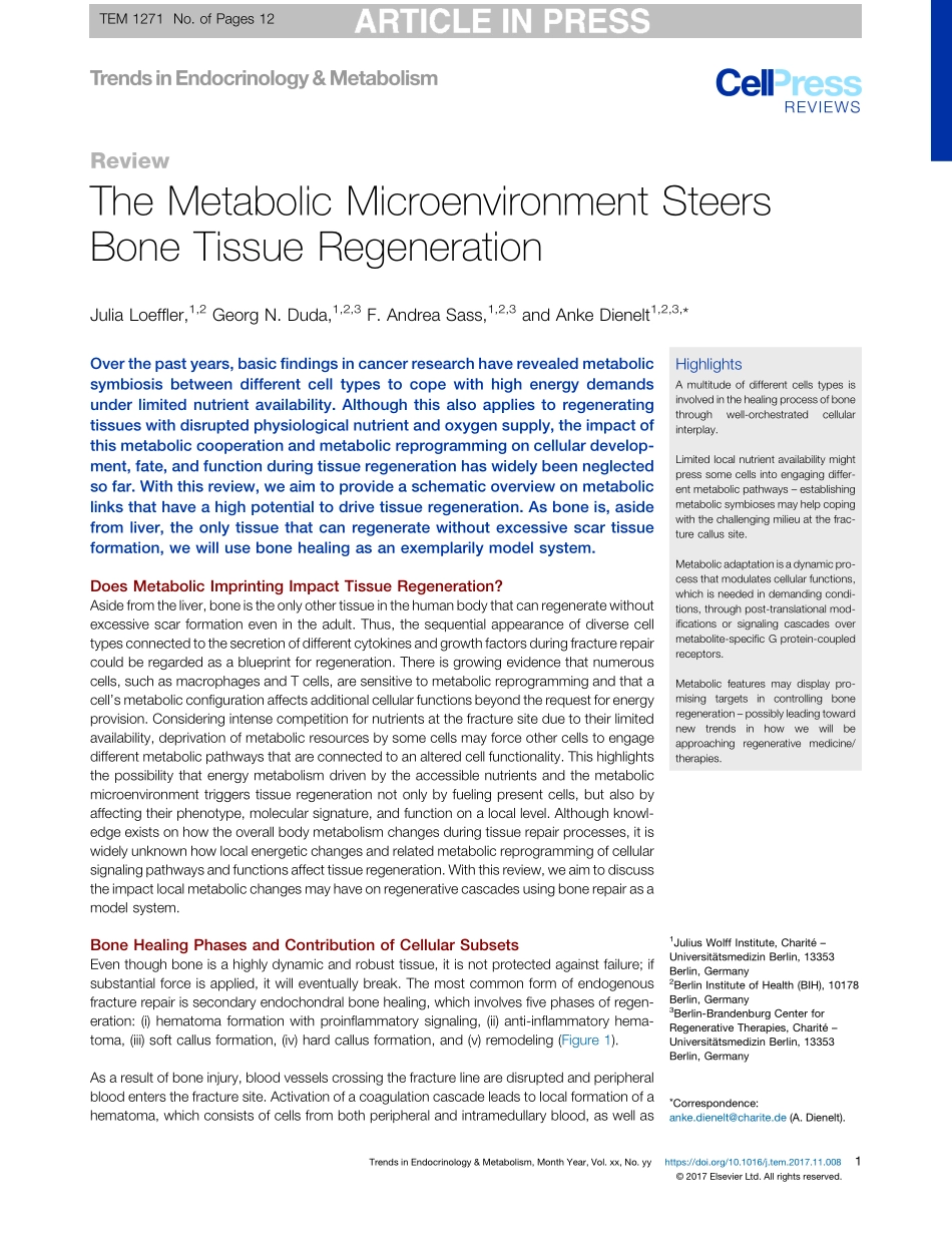 The Metabolic Microenvironment Steers Bone Tissue Regeneration.pdf_第1页