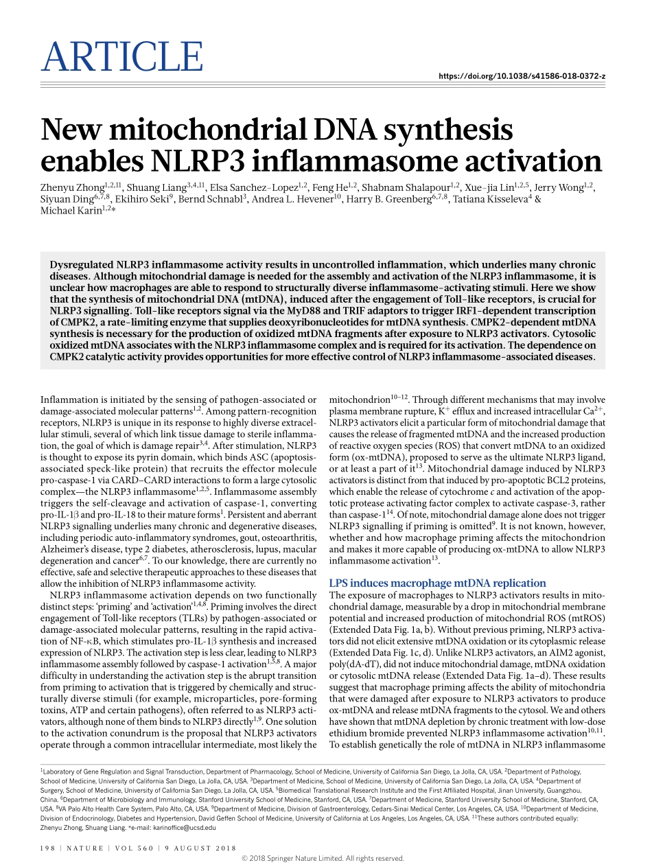 Zhong-2018-New mitochondrial DNA synthesis ena.pdf_第1页