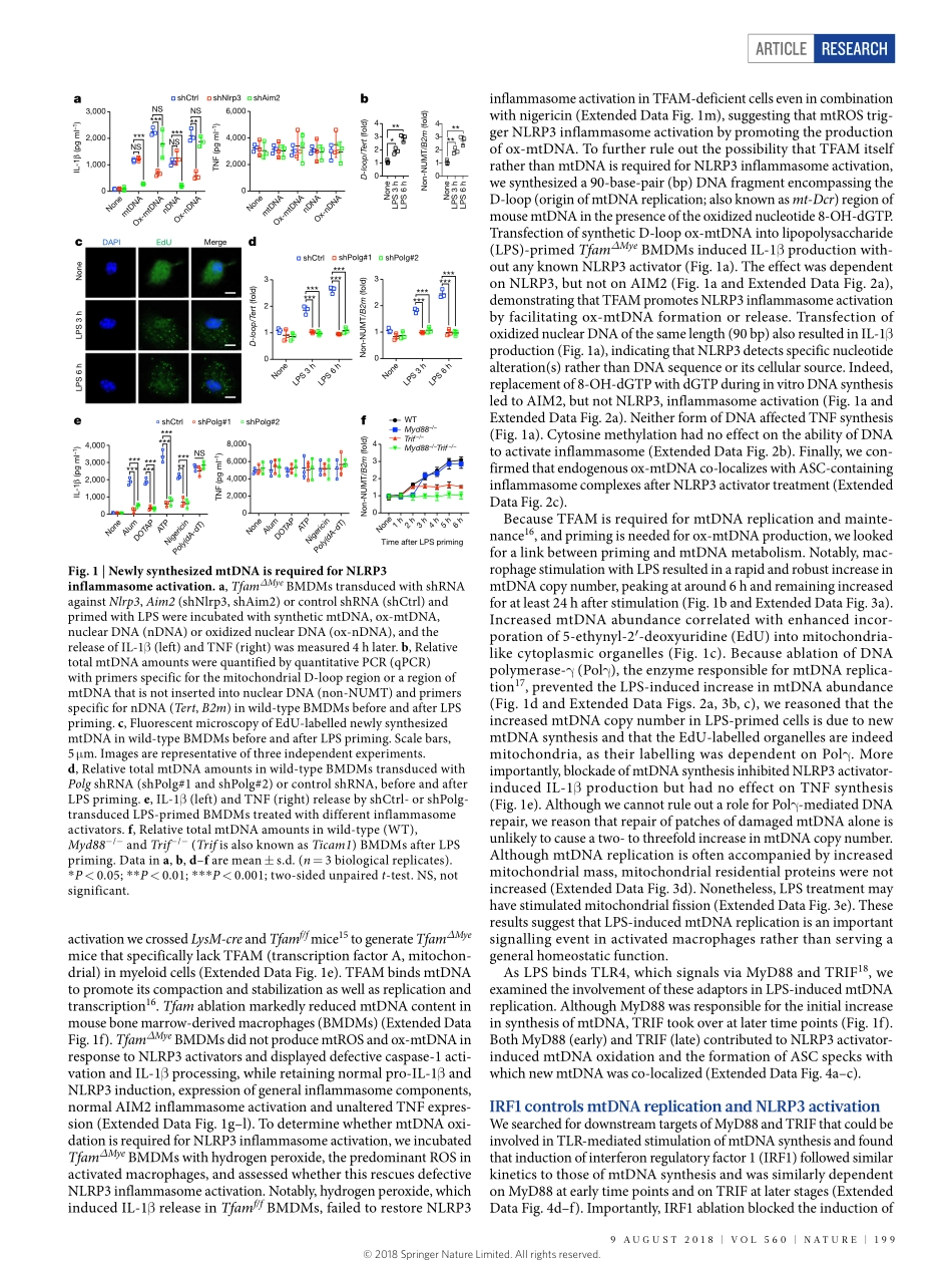 Zhong-2018-New mitochondrial DNA synthesis ena.pdf_第2页