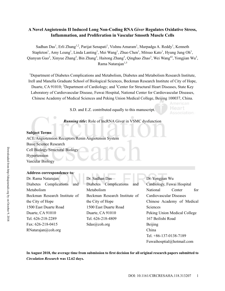 A Novel Angiotensin II Induced Long Non-Coding RNA Giver Regulates Oxidative Stress, Inflammation, and Proliferation in Vascular Smooth Muscle Cells.pdf_第1页