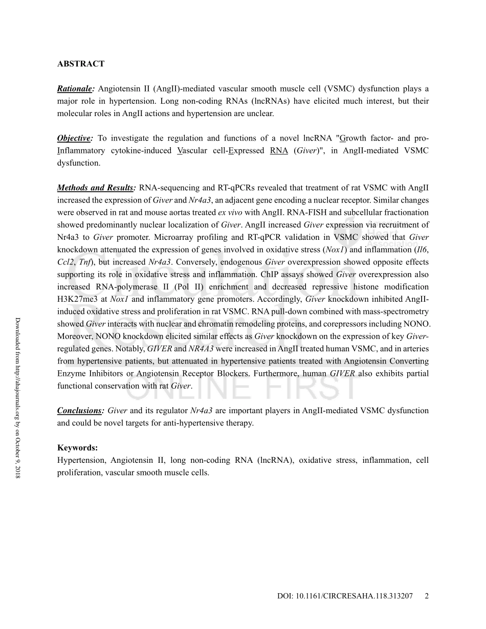 A Novel Angiotensin II Induced Long Non-Coding RNA Giver Regulates Oxidative Stress, Inflammation, and Proliferation in Vascular Smooth Muscle Cells.pdf_第2页