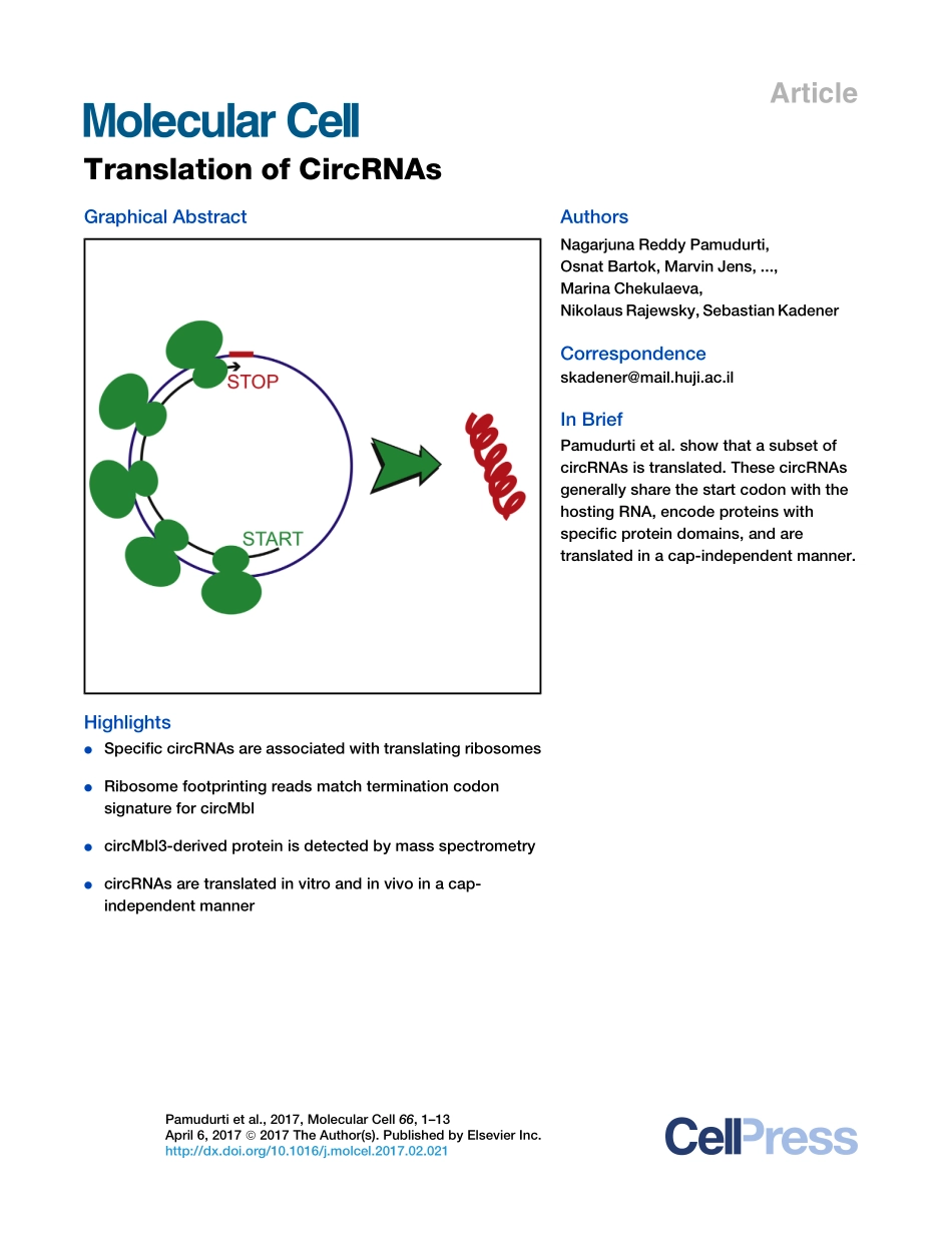 circRNA的翻译能力小综述：Translation of CircRNAs.pdf_第1页