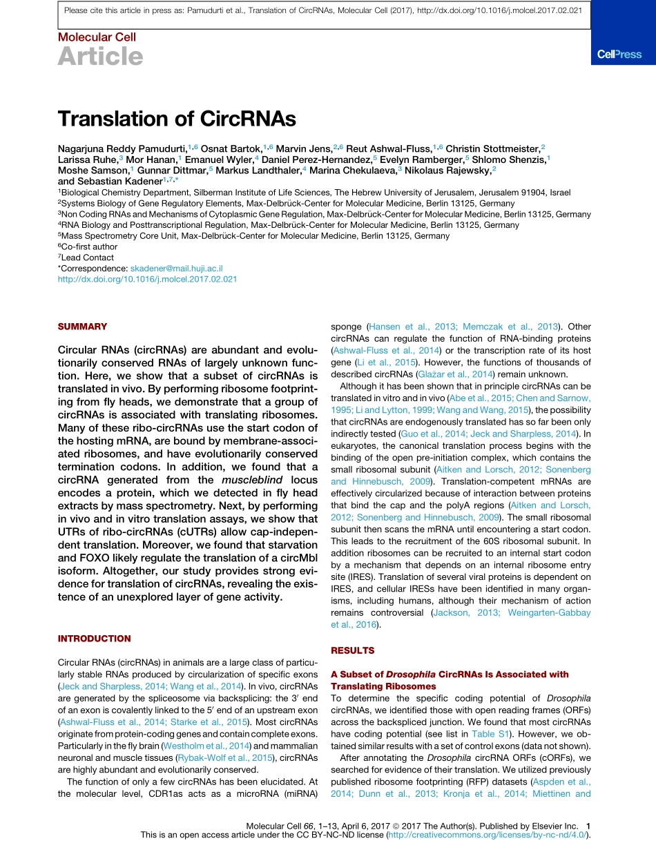 circRNA的翻译能力小综述：Translation of CircRNAs.pdf_第2页