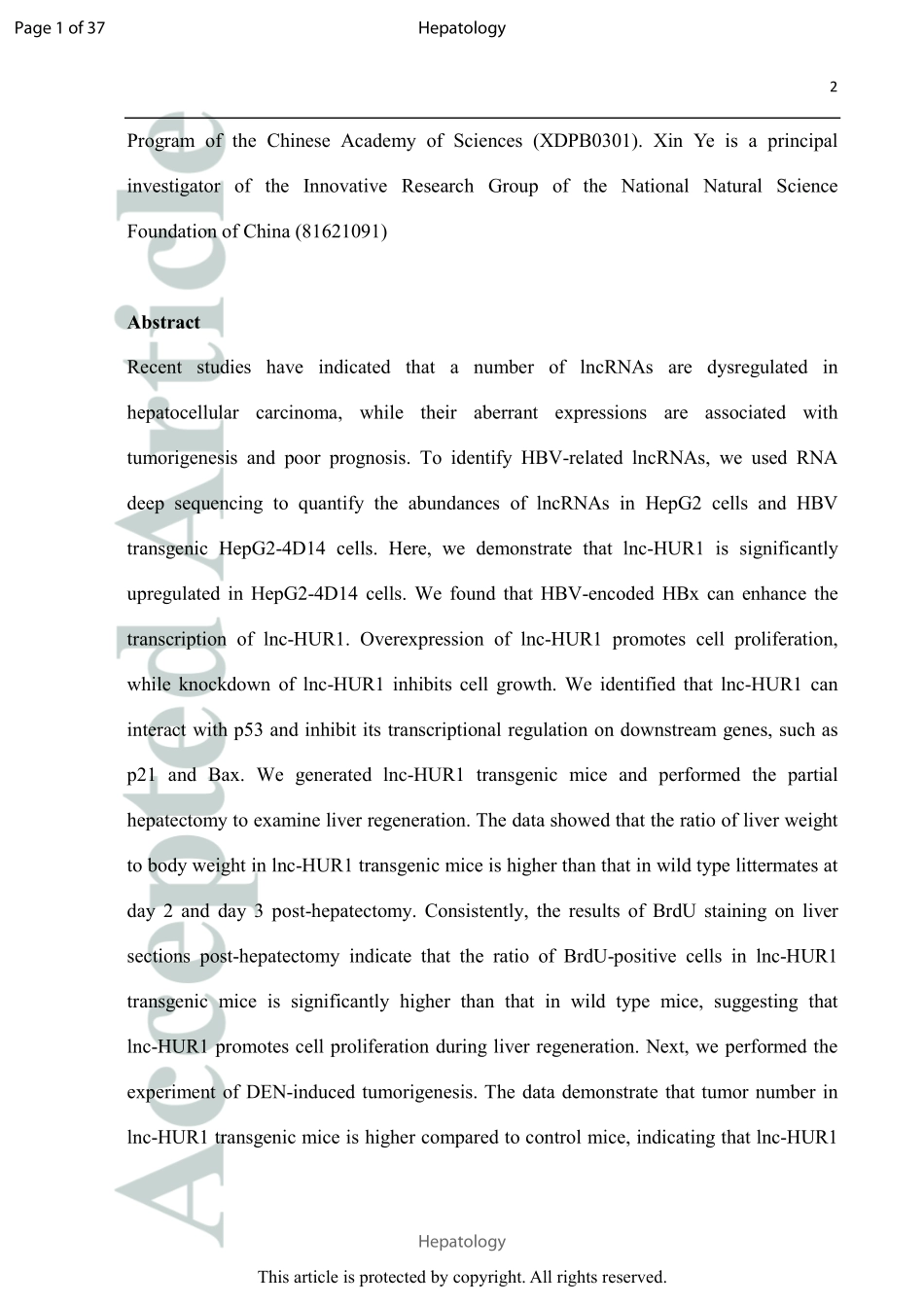 lncRNA转录抑制：Hepatitis B virus-upregulated lnc-HUR1 promotes cell proliferation and tumorigenesis by blocking p53 activity.pdf_第2页