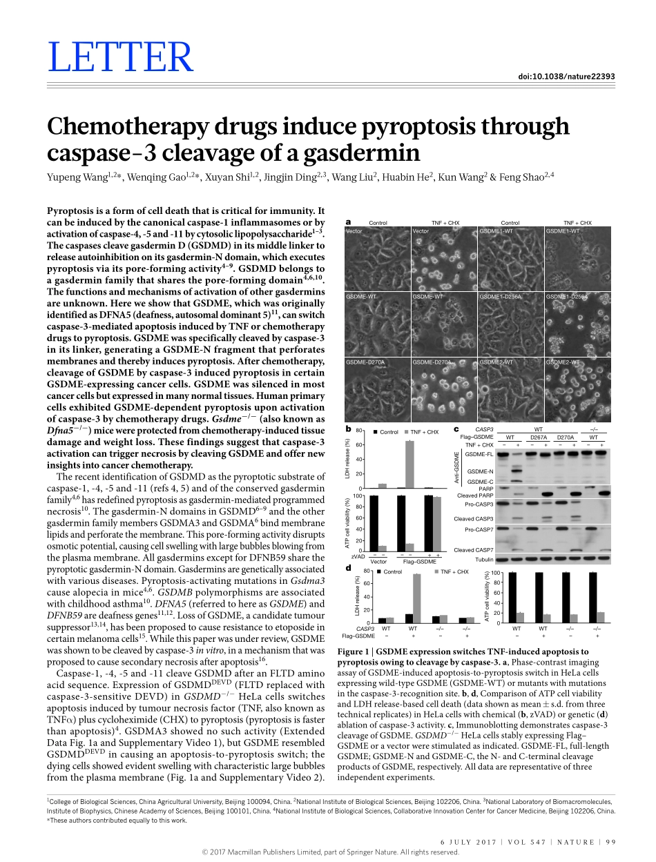 Wang-2017-Chemotherapy drugs induce pyroptosis.pdf_第1页