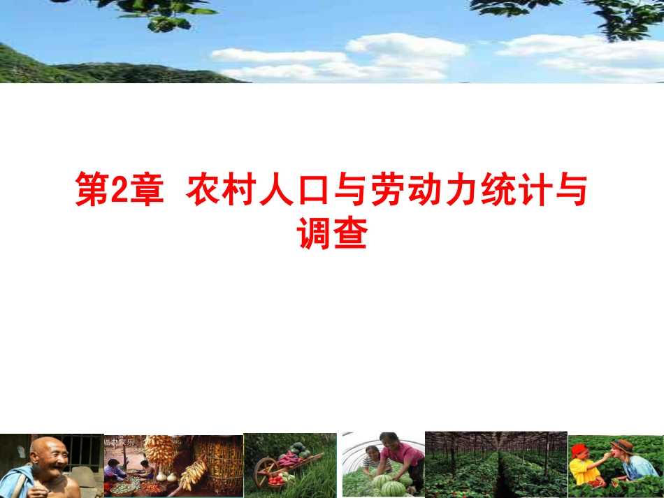 第3讲 农村人口与劳动力统计与调查.pdf_第2页