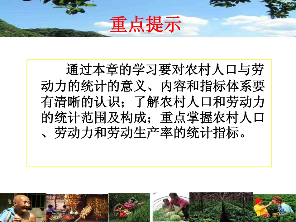 第3讲 农村人口与劳动力统计与调查.pdf_第3页