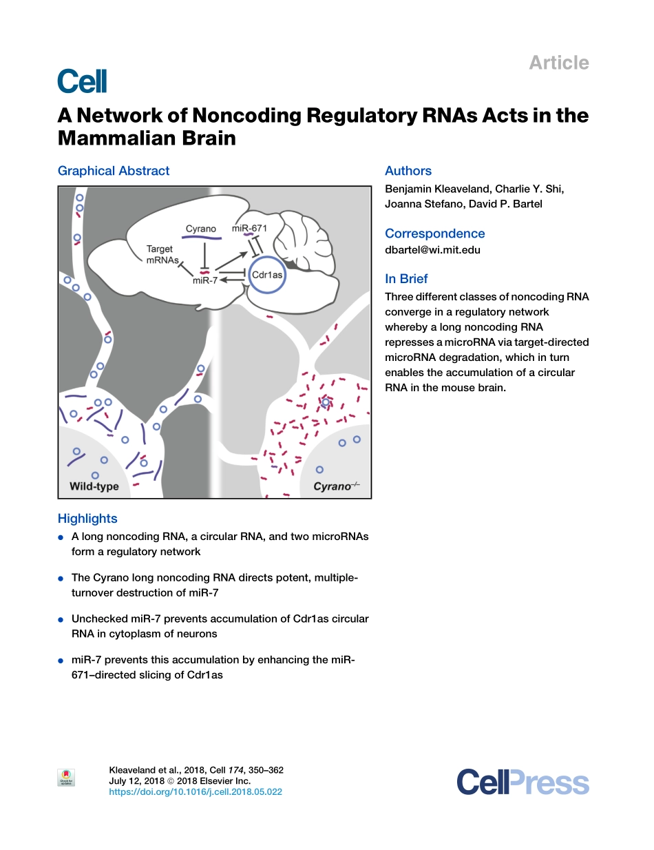 circ和两个miRNA的ceRNA：A Network of Noncoding Regulat.pdf_第1页