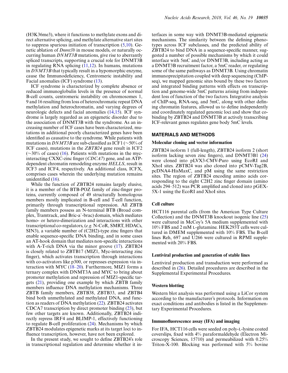 DNA甲基化：ZBTB24 is a transcriptional regulator that coordinates with DNMT3B to control DNA methylation.pdf_第2页