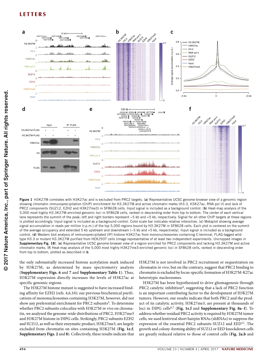 Piunti-2017-Therapeutic targeting of polycomb.pdf_第2页