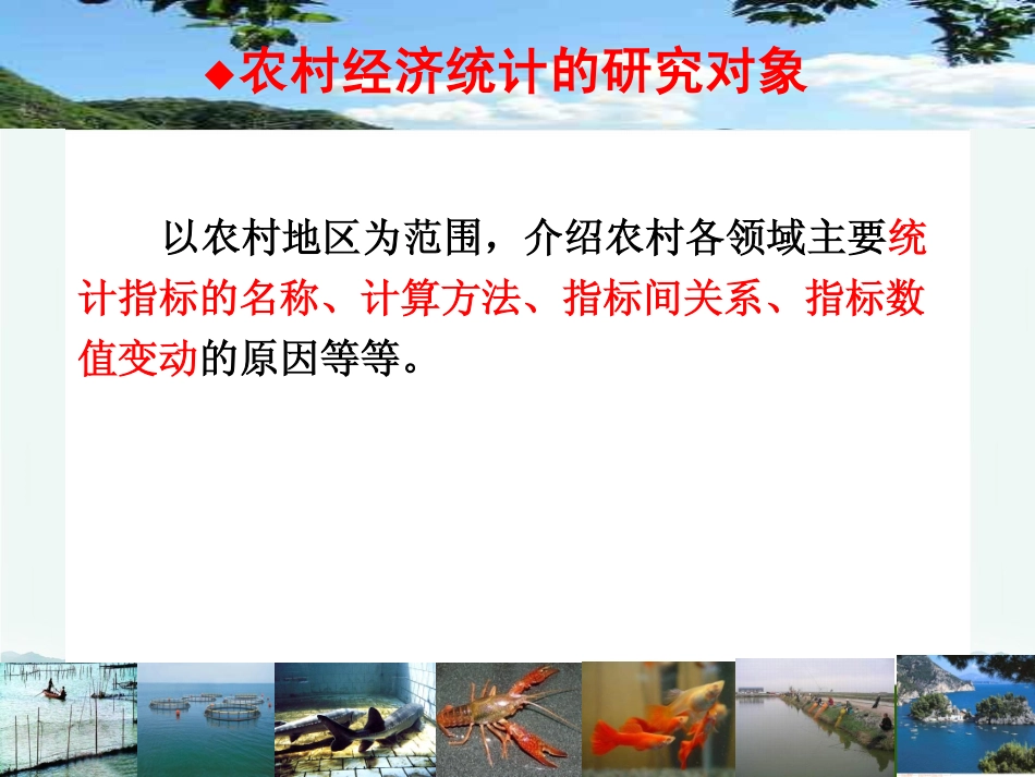 第8讲 林业、渔业统计（2）.pdf_第2页