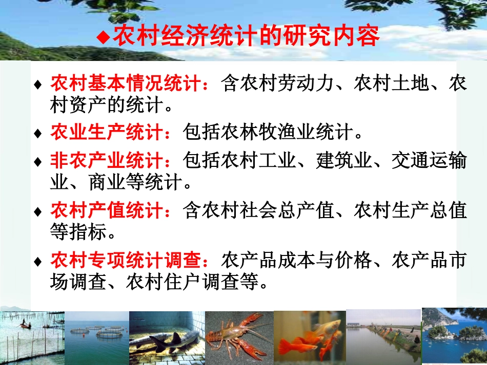 第8讲 林业、渔业统计（2）.pdf_第3页