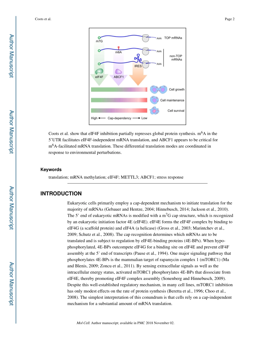 翻译调控：m6A Facilitates eIF4F-Independent mRNA Translation.pdf_第2页