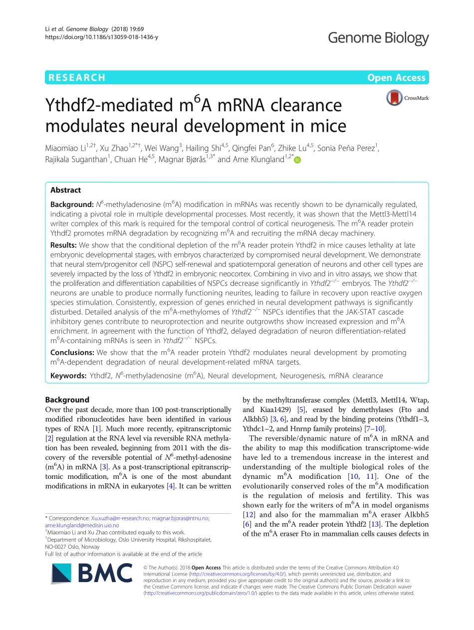神经发育：Ythdf2-mediated m6 A mRNA clearance modulates neural development in mice.pdf_第1页
