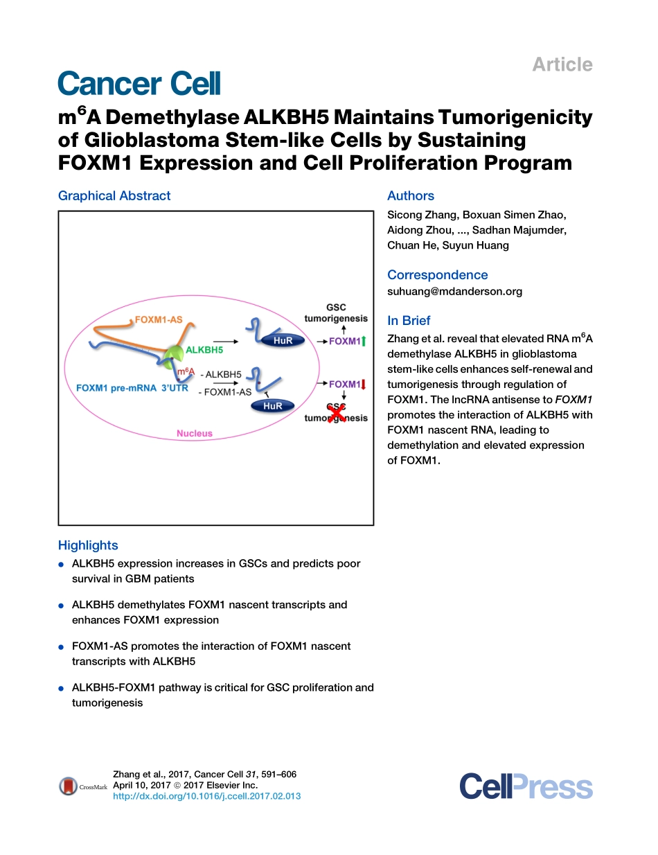神经胶质瘤：m6A Demethylase ALKBH5 Maintains Tumorigenicity of Glioblastoma Stem-like Cells by Sustaining FOXM1 Expression and Cell Proliferation Program.pdf_第1页