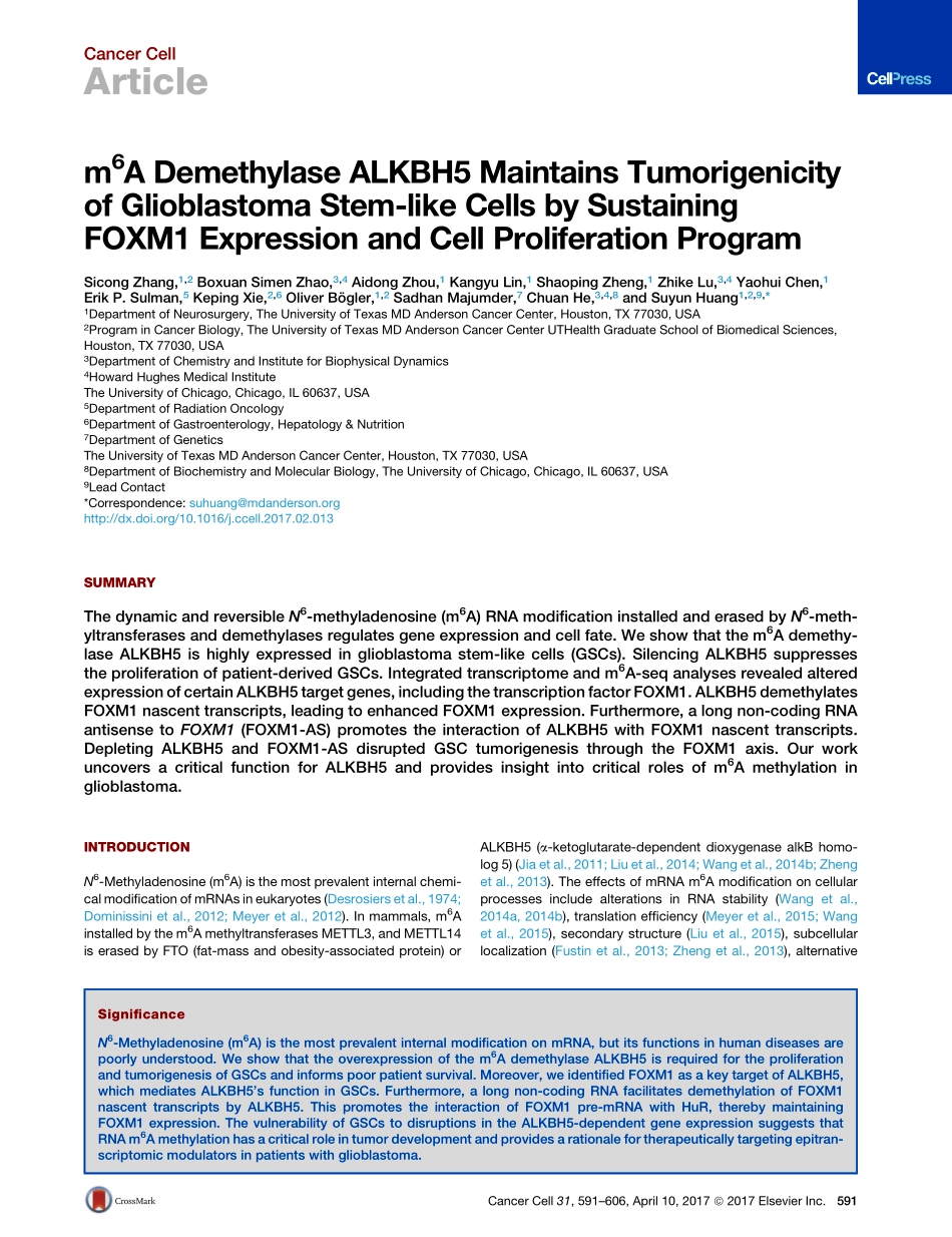 神经胶质瘤：m6A Demethylase ALKBH5 Maintains Tumorigenicity of Glioblastoma Stem-like Cells by Sustaining FOXM1 Expression and Cell Proliferation Program.pdf_第2页