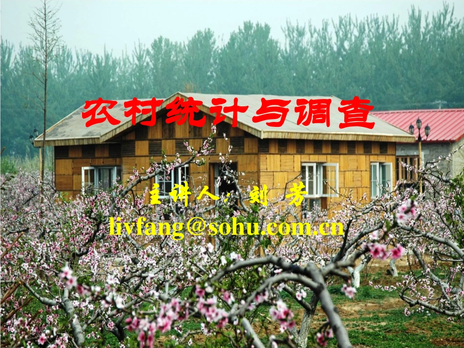 第11讲 农村国民收入.pdf_第1页