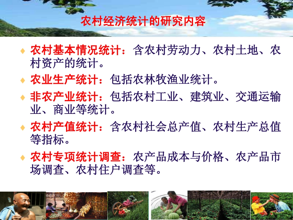 第11讲 农村国民收入.pdf_第3页