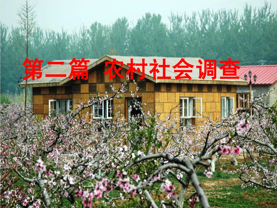 第16讲农村社会调查的涵义及特点.pdf_第2页