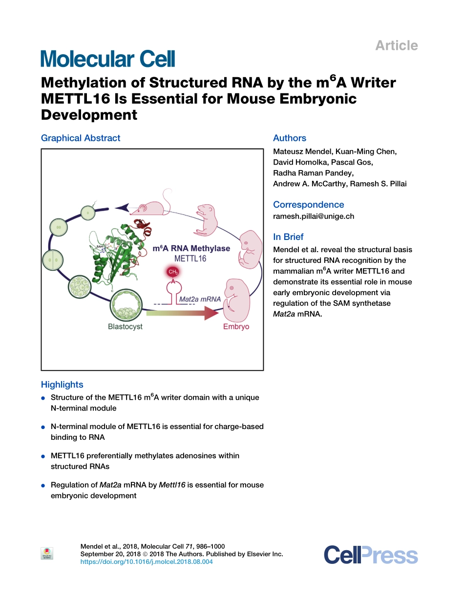 小鼠胚胎发育：Methylation of Structured RNA by the m6a.pdf_第1页