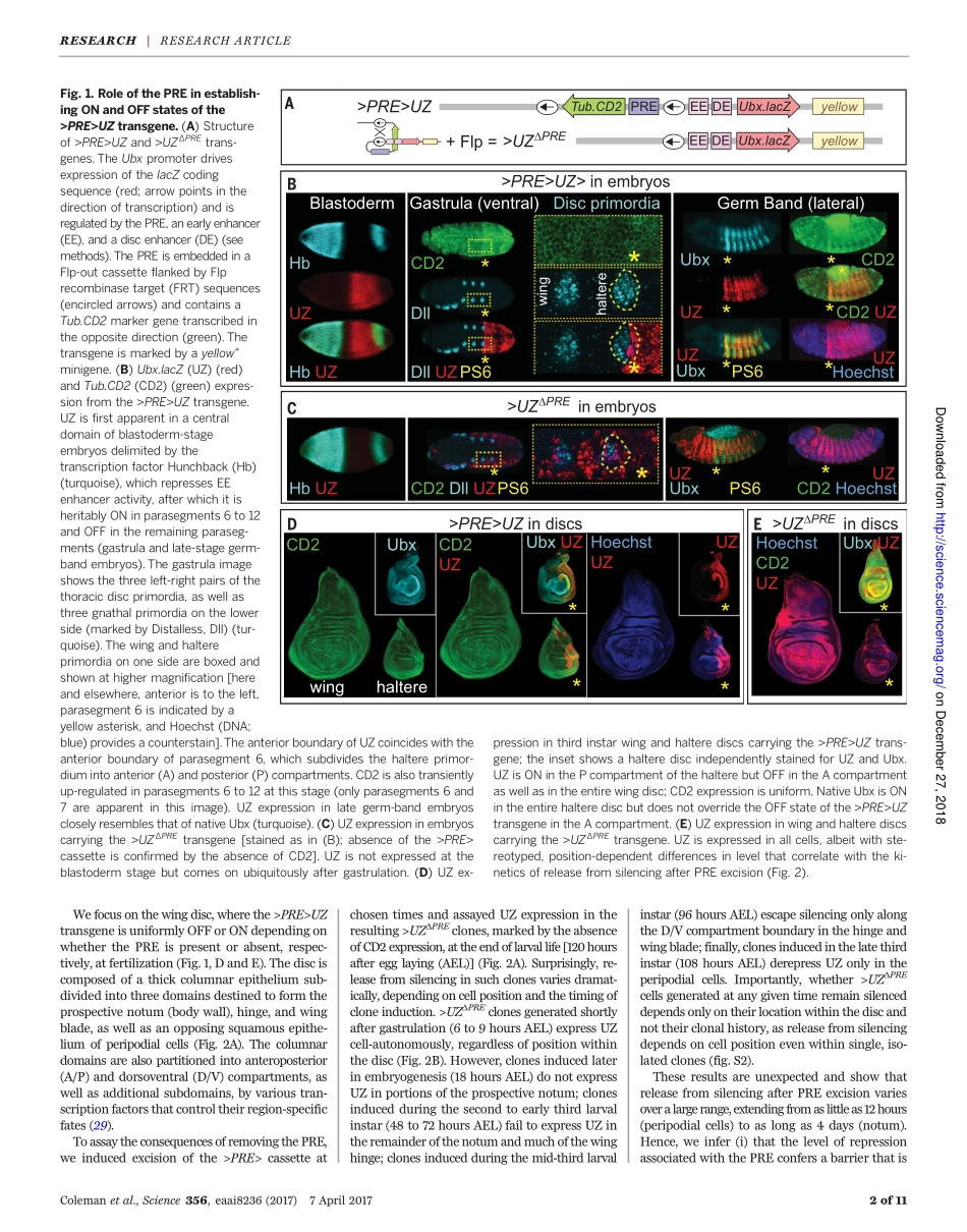 2017-Coleman-Causal role for inheritance of H3.pdf_第3页