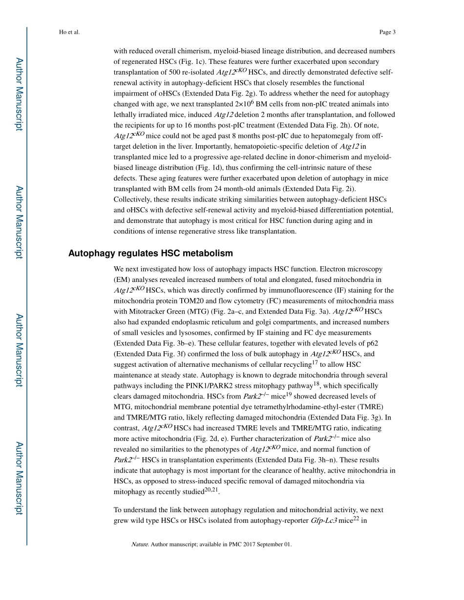 2017-Ho-Autophagy maintains the metabolism and.pdf_第3页