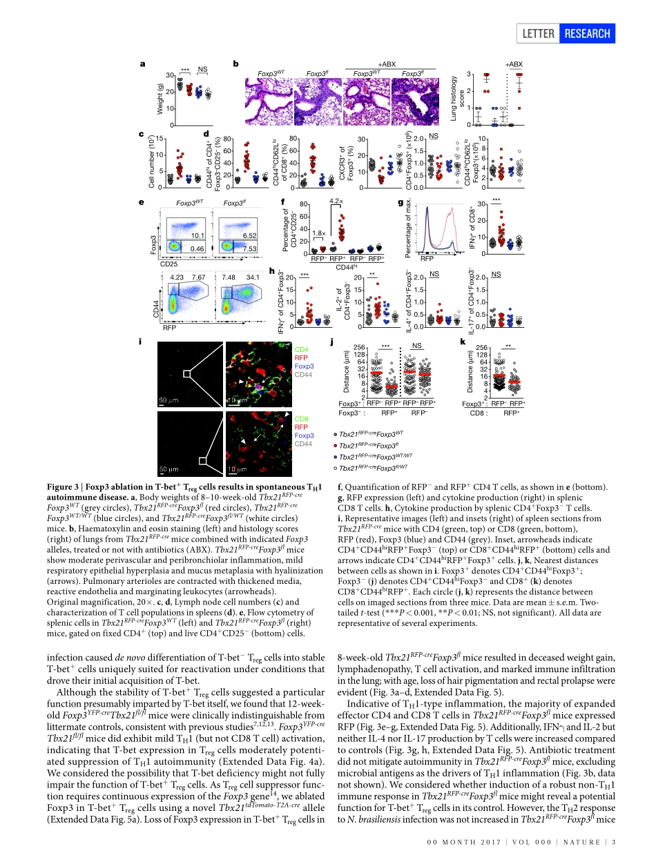 2017-Levine-Stability and function of regulato.pdf_第3页