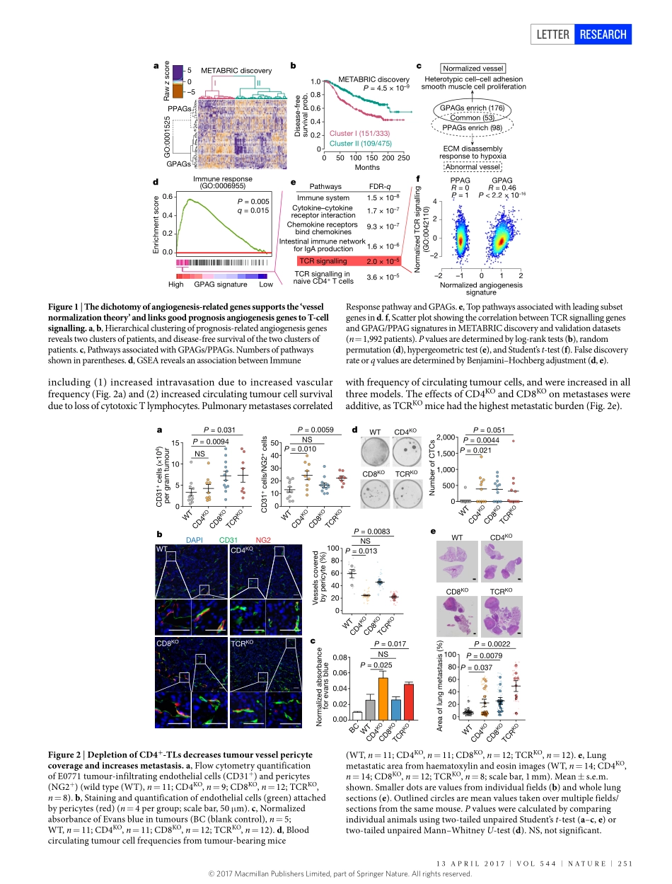 2017-Tian-Mutual regulation of tumour vessel n.pdf_第2页