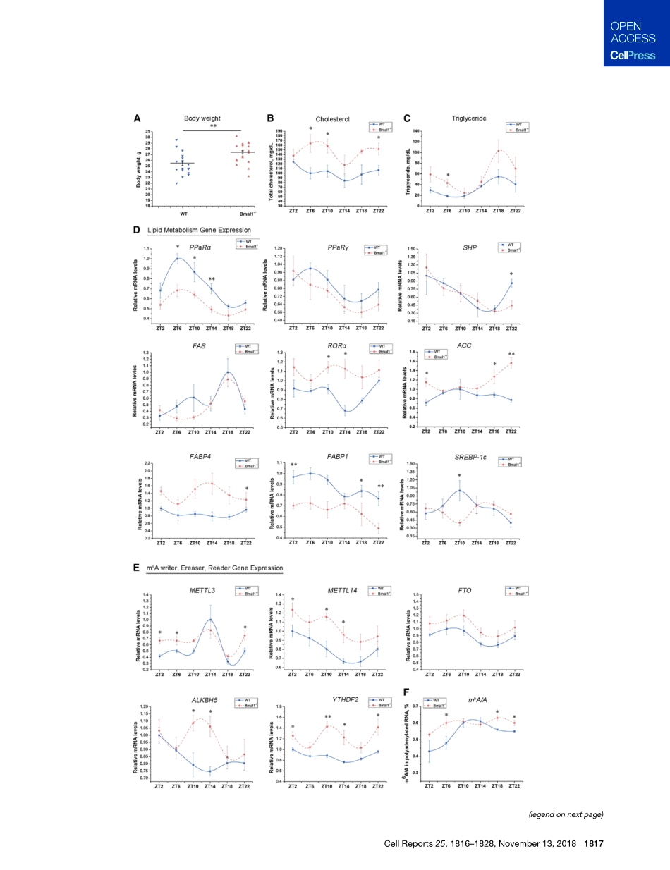生物节律调控：Circadian Clock Regulation of Hepat.pdf_第3页