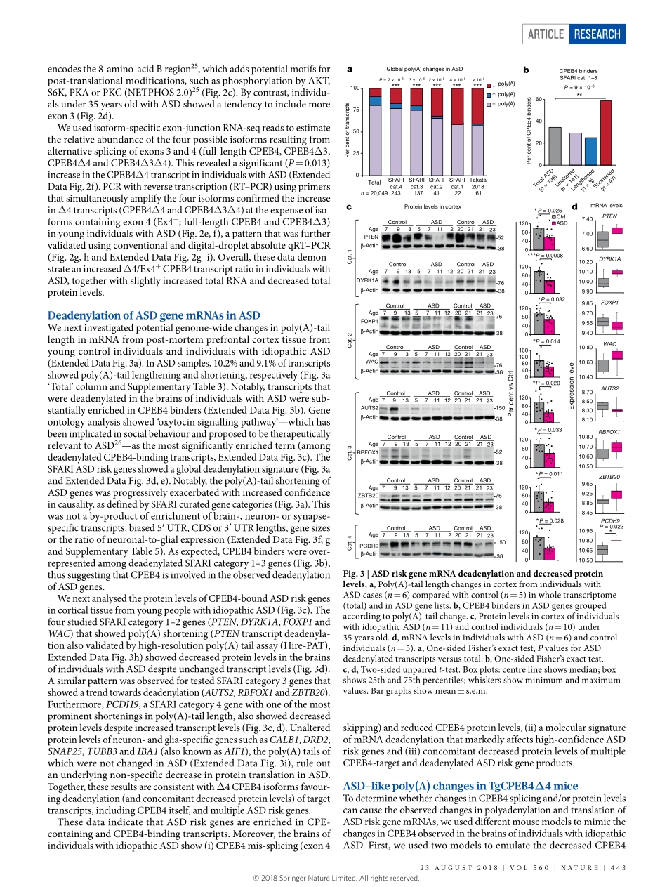 2018-Parras-Autism-like phenotype and risk gen.pdf_第3页