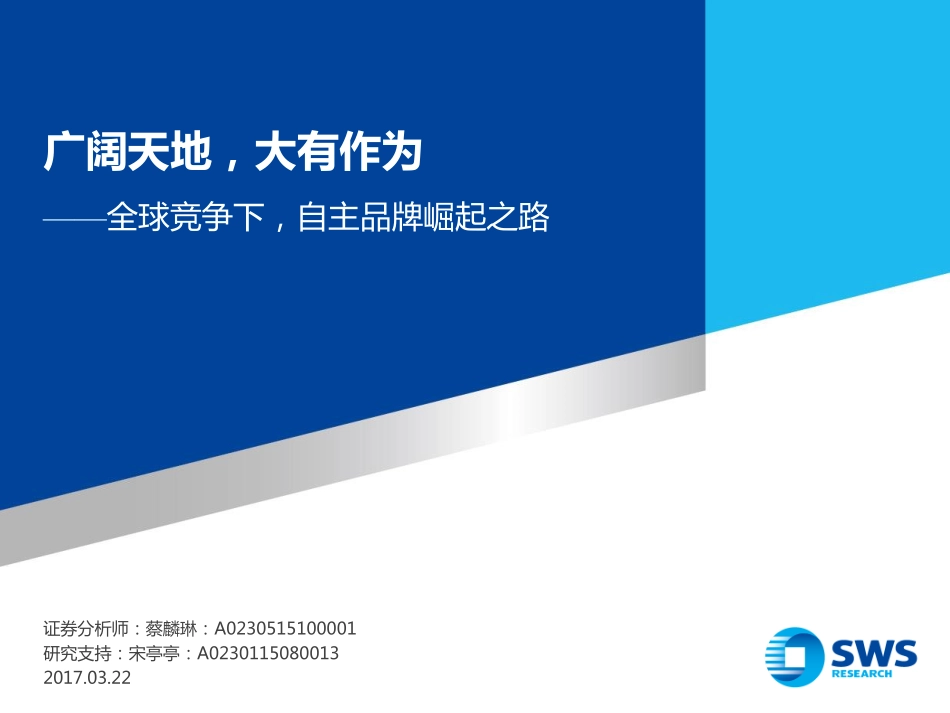 20170322-申万宏源-汽车行业：全球竞争下自主品牌崛起之路：广阔天地大有作为.pdf_第1页