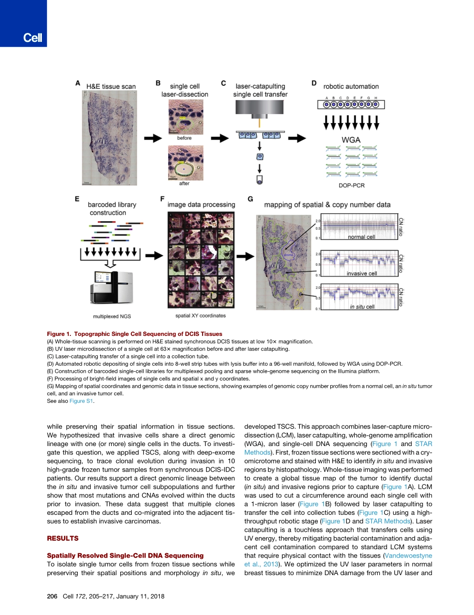 Casasent-2018-Multiclonal Invasion in Breast T.pdf_第3页