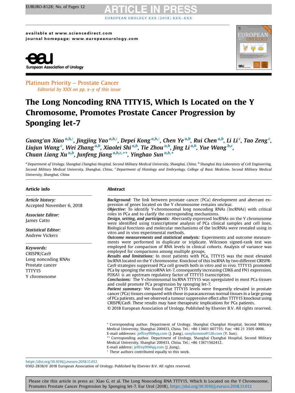 ceRNA-The Long Noncoding RNA TTTY15, Which Is Located on the Y Chromosome, Promotes Prostate Cancer Progression by Sponging let-7.pdf_第1页