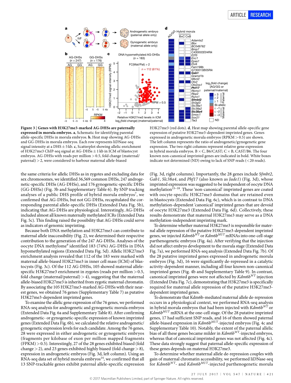 Inoue-2017-Maternal H3K27me3 controls DNA meth.pdf_第3页