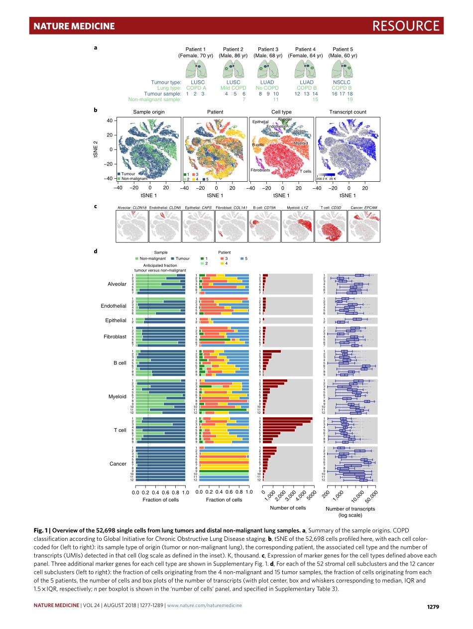 Lambrechts-2018-Phenotype molding of stromal c.pdf_第3页