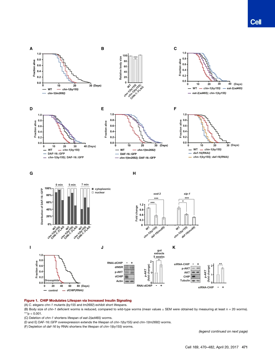 Tawo-2017-The Ubiquitin Ligase CHIP Integrates.pdf_第3页