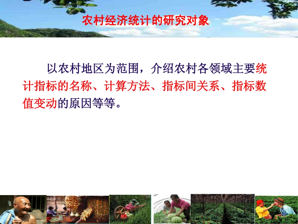 第12讲 农村经济总收入.pdf_第2页